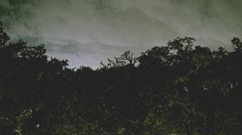 Weather camera view of Metairie Club Gardens.