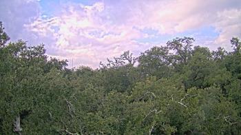 Weather camera view of Metairie Club Gardens.