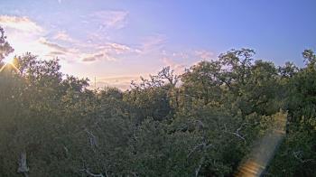 Weather camera view of Metairie Club Gardens.
