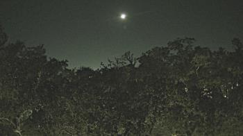 Weather camera view of Metairie Club Gardens.