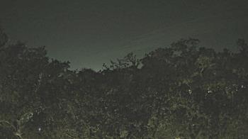 Weather camera view of Metairie Club Gardens.