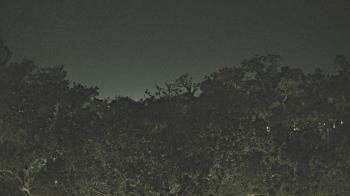 Weather camera view of Metairie Club Gardens.