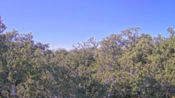 Weather camera view of Metairie Club Gardens.