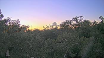 Weather camera view of Metairie Club Gardens.