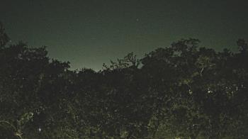 Weather camera view of Metairie Club Gardens.