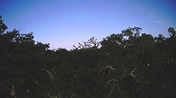 Weather camera view of Metairie Club Gardens.