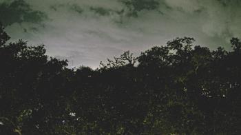 Weather camera view of Metairie Club Gardens.