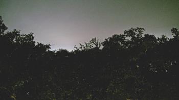 Weather camera view of Metairie Club Gardens.