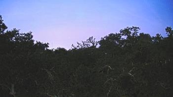 Weather camera view of Metairie Club Gardens.