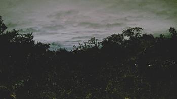 Weather camera view of Metairie Club Gardens.