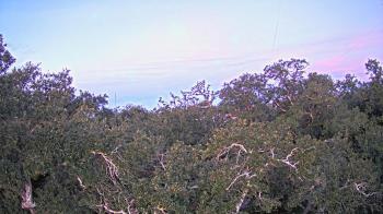 Weather camera view of Metairie Club Gardens.