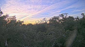 Weather camera view of Metairie Club Gardens.