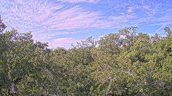 Weather camera view of Metairie Club Gardens.