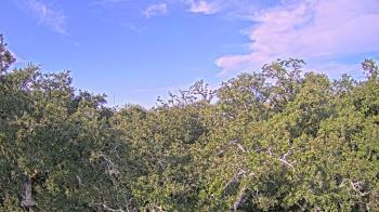 Weather camera view of Metairie Club Gardens.