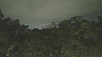 Weather camera view of Metairie Club Gardens.