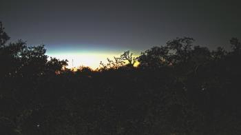 Weather camera view of Metairie Club Gardens.