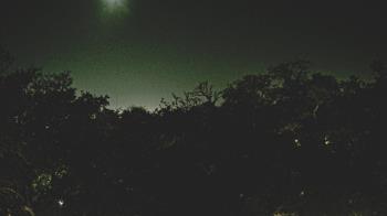 Weather camera view of Metairie Club Gardens.