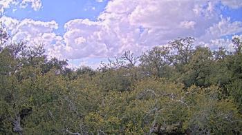 Weather camera view of Metairie Club Gardens.