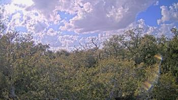 Weather camera view of Metairie Club Gardens.