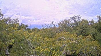 Weather camera view of Metairie Club Gardens.
