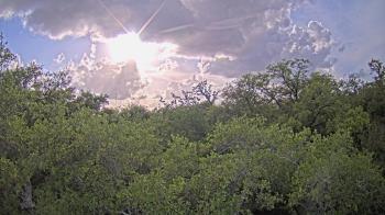Weather camera view of Metairie Club Gardens.
