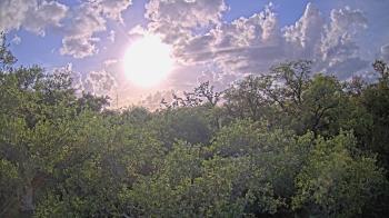 Weather camera view of Metairie Club Gardens.