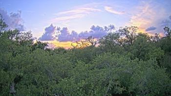 Weather camera view of Metairie Club Gardens.