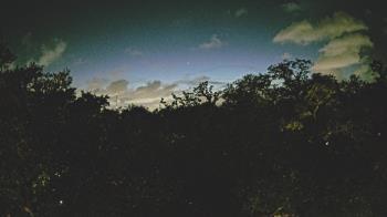 Weather camera view of Metairie Club Gardens.