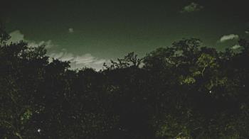 Weather camera view of Metairie Club Gardens.