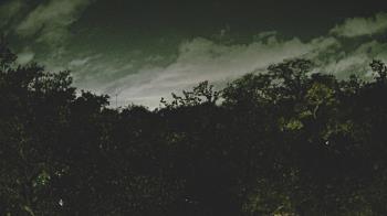 Weather camera view of Metairie Club Gardens.