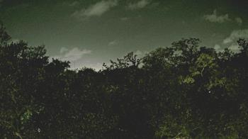 Weather camera view of Metairie Club Gardens.