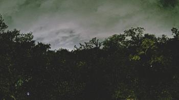 Weather camera view of Metairie Club Gardens.