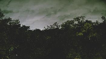 Weather camera view of Metairie Club Gardens.