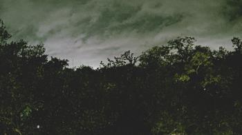 Weather camera view of Metairie Club Gardens.