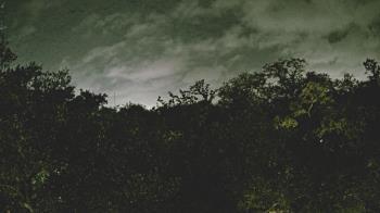 Weather camera view of Metairie Club Gardens.