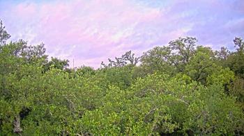 Weather camera view of Metairie Club Gardens.