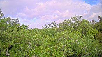 Weather camera view of Metairie Club Gardens.