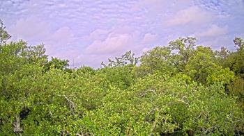 Weather camera view of Metairie Club Gardens.