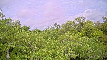 Weather camera view of Metairie Club Gardens.