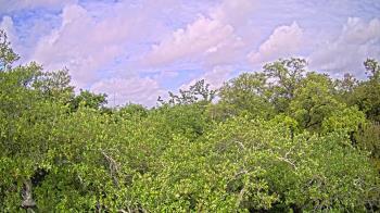 Weather camera view of Metairie Club Gardens.