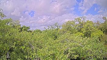 Weather camera view of Metairie Club Gardens.