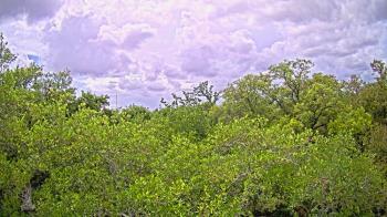Weather camera view of Metairie Club Gardens.