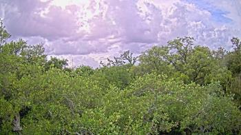 Weather camera view of Metairie Club Gardens.