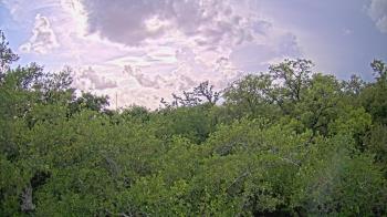 Weather camera view of Metairie Club Gardens.