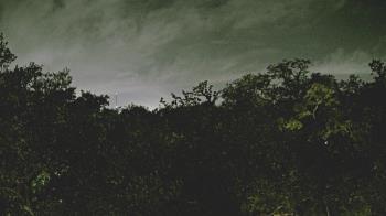 Weather camera view of Metairie Club Gardens.