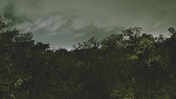 Weather camera view of Metairie Club Gardens.