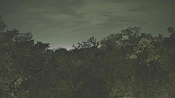 Weather camera view of Metairie Club Gardens.