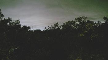 Weather camera view of Metairie Club Gardens.