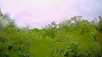 Weather camera view of Metairie Club Gardens.