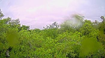 Weather camera view of Metairie Club Gardens.